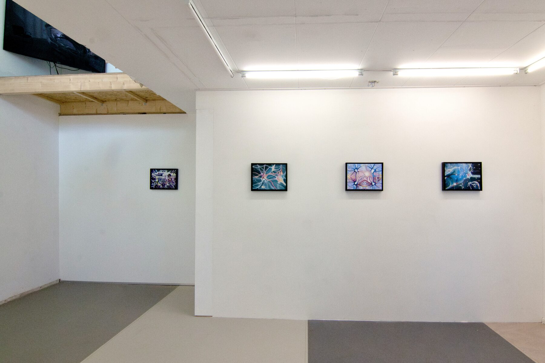 Making-With installation view, paintings on wall
