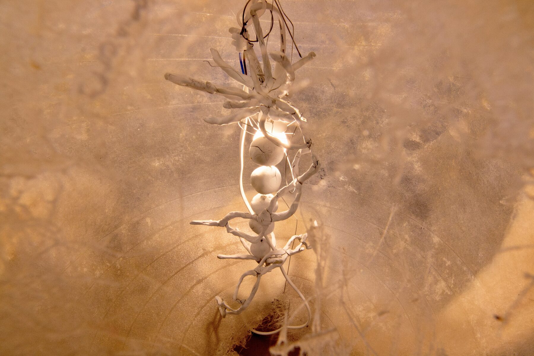 Making-With, lantern sculpture close-up
